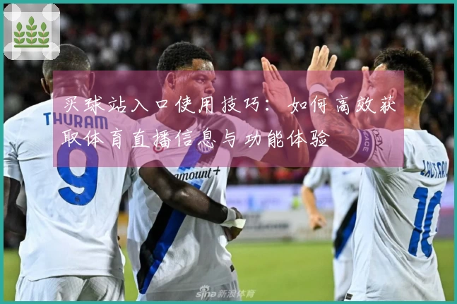 买球站入口使用技巧：如何高效获取体育直播信息与功能体验